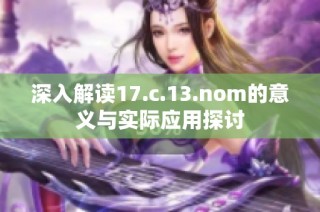 深入解读17.c.13.nom的意义与实际应用探讨