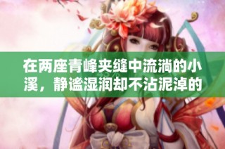在两座青峰夹缝中流淌的小溪，静谧湿润却不沾泥淖的自然秘境
