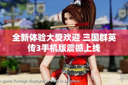 全新体验大受欢迎 三国群英传3手机版震撼上线