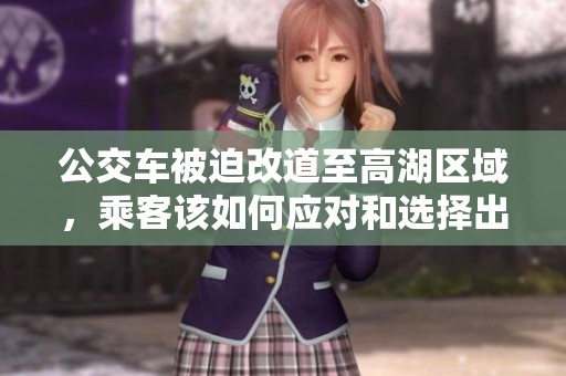 公交车被迫改道至高湖区域，乘客该如何应对和选择出行方式