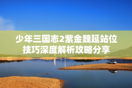 少年三国志2紫金魏延站位技巧深度解析攻略分享
