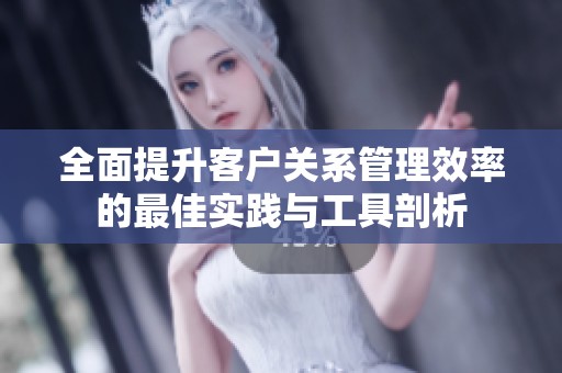 全面提升客户关系管理效率的最佳实践与工具剖析