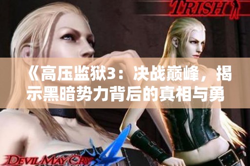 《高压监狱3：决战巅峰，揭示黑暗势力背后的真相与勇气》