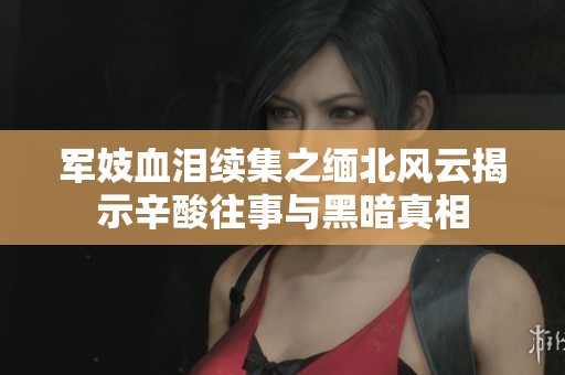 军妓血泪续集之缅北风云揭示辛酸往事与黑暗真相