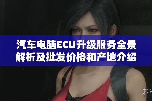 汽车电脑ECU升级服务全景解析及批发价格和产地介绍