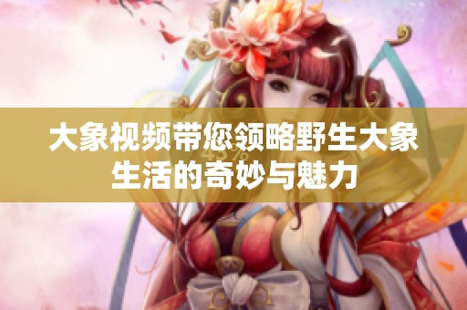 大象视频带您领略野生大象生活的奇妙与魅力