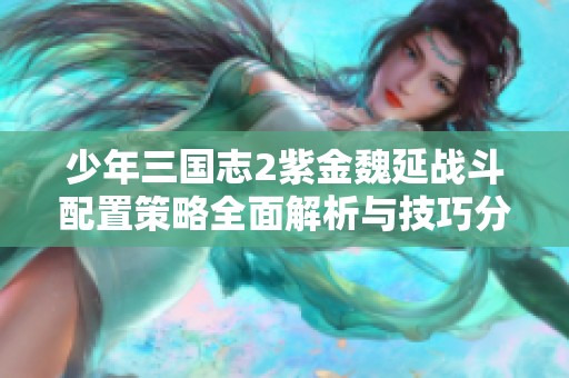 少年三国志2紫金魏延战斗配置策略全面解析与技巧分享