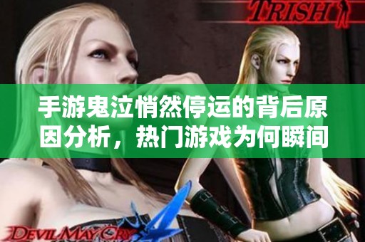 手游鬼泣悄然停运的背后原因分析，热门游戏为何瞬间退场？