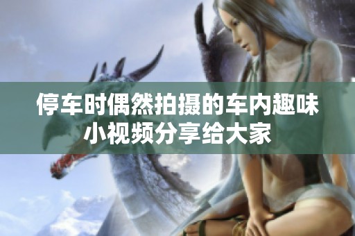 停车时偶然拍摄的车内趣味小视频分享给大家
