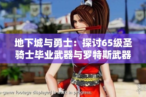 地下城与勇士：探讨65级圣骑士毕业武器与罗特斯武器的强度对比分析