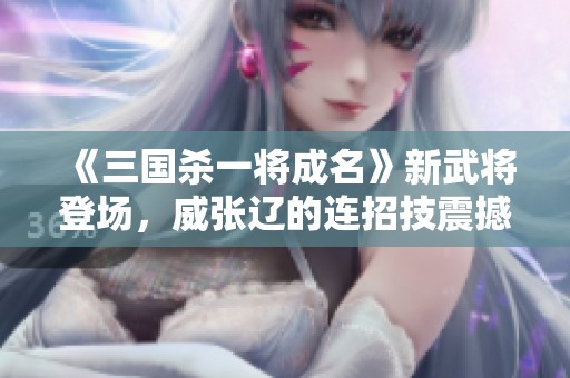 《三国杀一将成名》新武将登场，威张辽的连招技震撼上线！