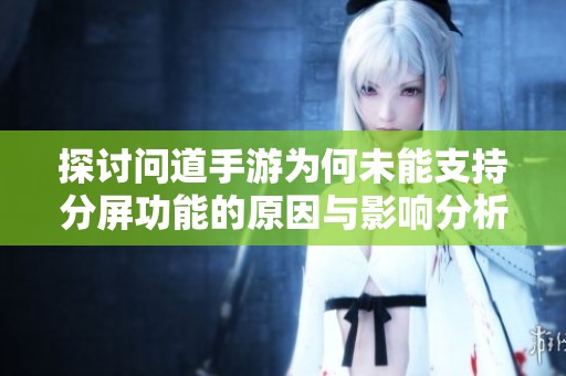 探讨问道手游为何未能支持分屏功能的原因与影响分析