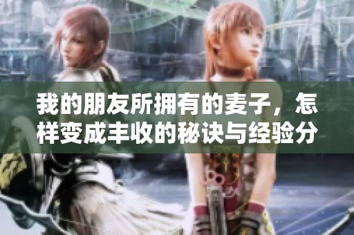 我的朋友所拥有的麦子，怎样变成丰收的秘诀与经验分享