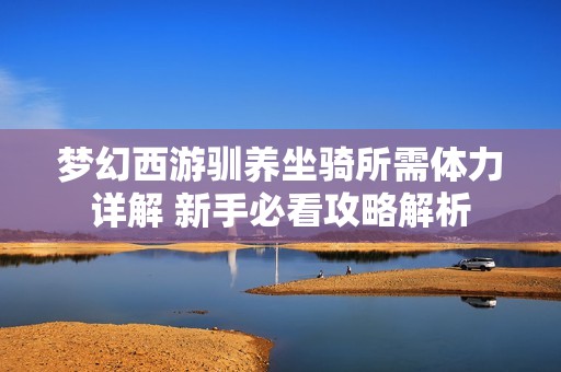 梦幻西游驯养坐骑所需体力详解 新手必看攻略解析