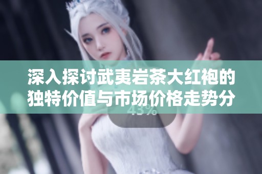 深入探讨武夷岩茶大红袍的独特价值与市场价格走势分析