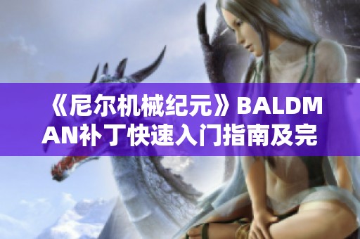 《尼尔机械纪元》BALDMAN补丁快速入门指南及完整使用方法解析