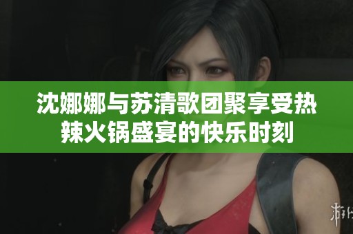 沈娜娜与苏清歌团聚享受热辣火锅盛宴的快乐时刻