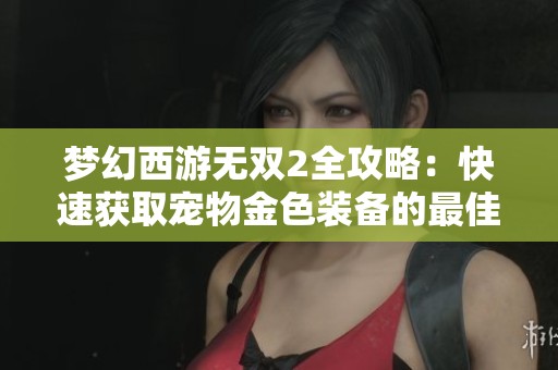 梦幻西游无双2全攻略：快速获取宠物金色装备的最佳策略揭秘