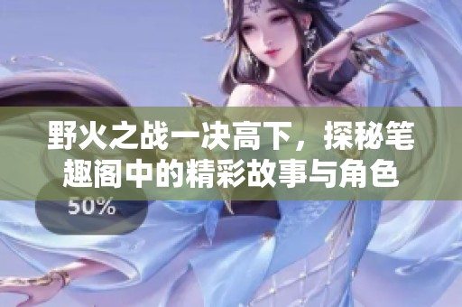 野火之战一决高下，探秘笔趣阁中的精彩故事与角色