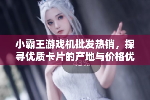 小霸王游戏机批发热销，探寻优质卡片的产地与价格优惠