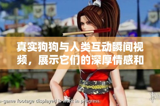 真实狗狗与人类互动瞬间视频，展示它们的深厚情感和有趣时刻