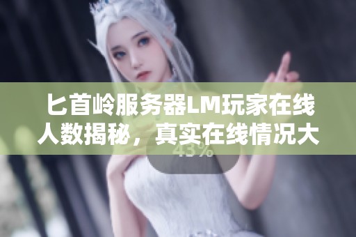 匕首岭服务器LM玩家在线人数揭秘，真实在线情况大曝光