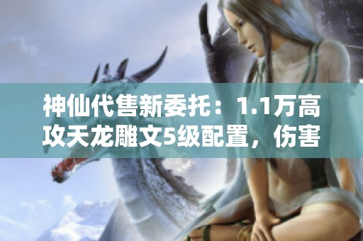 神仙代售新委托：1.1万高攻天龙雕文5级配置，伤害爆炸让你逆袭！