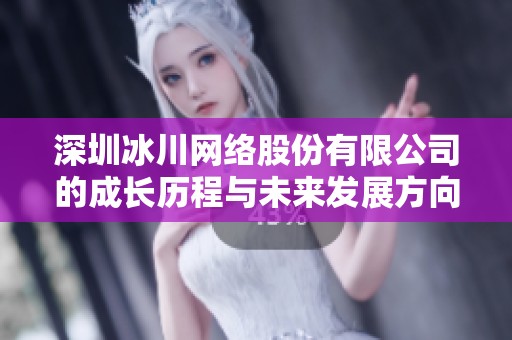 深圳冰川网络股份有限公司的成长历程与未来发展方向分析
