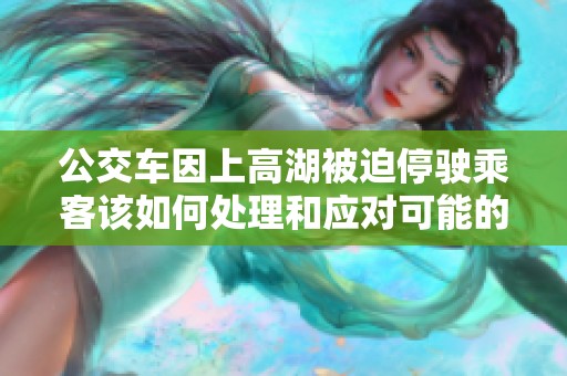 公交车因上高湖被迫停驶乘客该如何处理和应对可能的影响