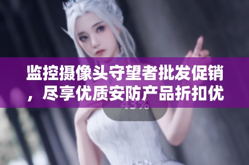 监控摄像头守望者批发促销，尽享优质安防产品折扣优惠