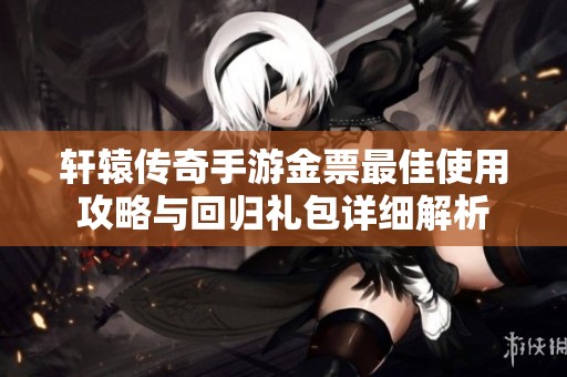 轩辕传奇手游金票最佳使用攻略与回归礼包详细解析