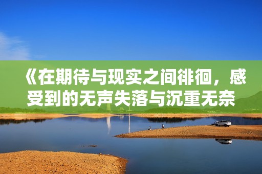 《在期待与现实之间徘徊，感受到的无声失落与沉重无奈》