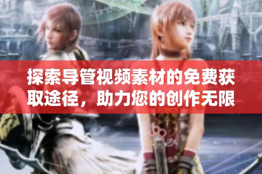 探索导管视频素材的免费获取途径，助力您的创作无限可能