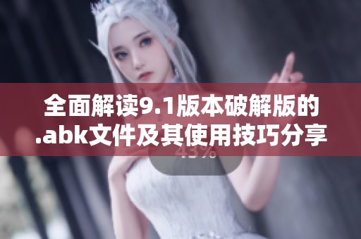 全面解读9.1版本破解版的.abk文件及其使用技巧分享