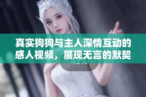 真实狗狗与主人深情互动的感人视频，展现无言的默契与爱意