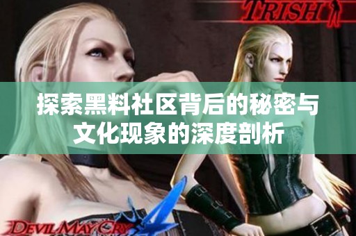 探索黑料社区背后的秘密与文化现象的深度剖析