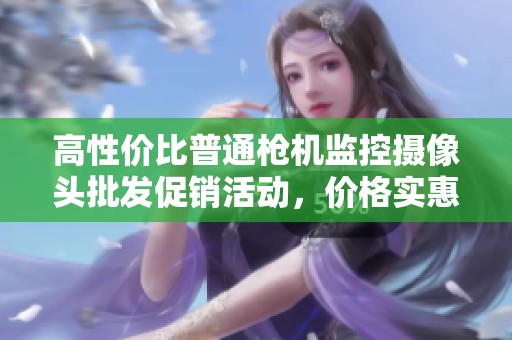 高性价比普通枪机监控摄像头批发促销活动，价格实惠值得关注