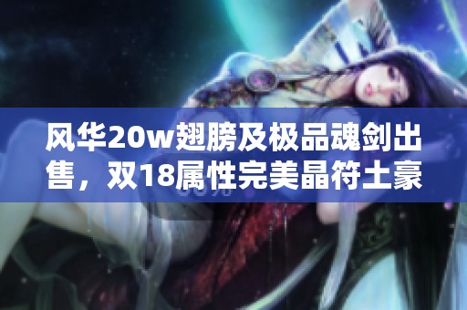 风华20w翅膀及极品魂剑出售，双18属性完美晶符土豪必备