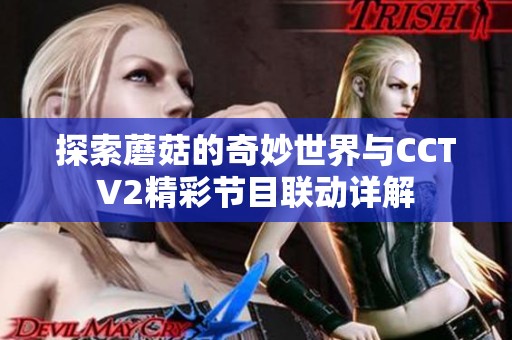 探索蘑菇的奇妙世界与CCTV2精彩节目联动详解