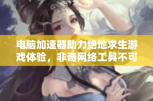 电脑加速器助力绝地求生游戏体验，非奇网络工具不可暂停使用