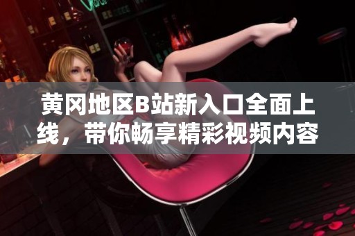 黄冈地区B站新入口全面上线，带你畅享精彩视频内容探秘