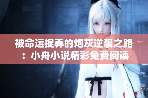 被命运捉弄的炮灰逆袭之路：小舟小说精彩免费阅读