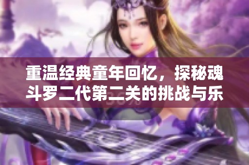 重温经典童年回忆，探秘魂斗罗二代第二关的挑战与乐趣