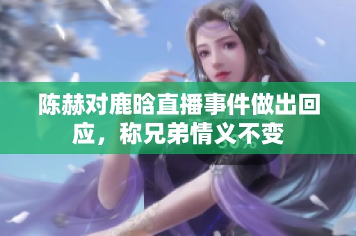 陈赫对鹿晗直播事件做出回应，称兄弟情义不变
