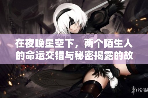 在夜晚星空下，两个陌生人的命运交错与秘密揭露的故事
