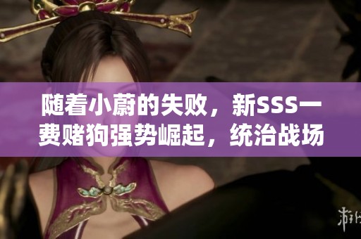 随着小蔚的失败，新SSS一费赌狗强势崛起，统治战场精彩瞬间！