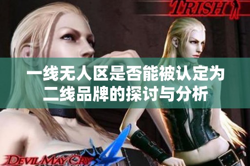一线无人区是否能被认定为二线品牌的探讨与分析