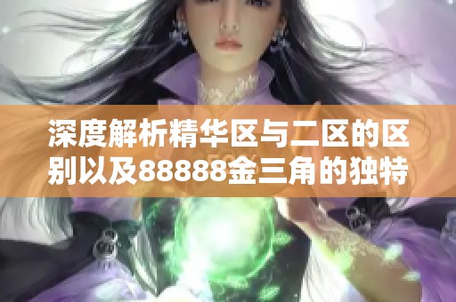 深度解析精华区与二区的区别以及88888金三角的独特魅力