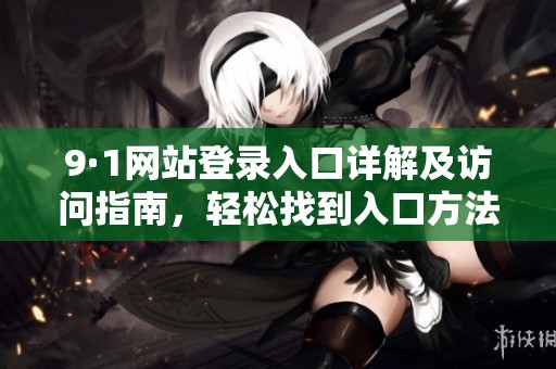 9·1网站登录入口详解及访问指南，轻松找到入口方法