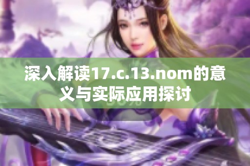 深入解读17.c.13.nom的意义与实际应用探讨